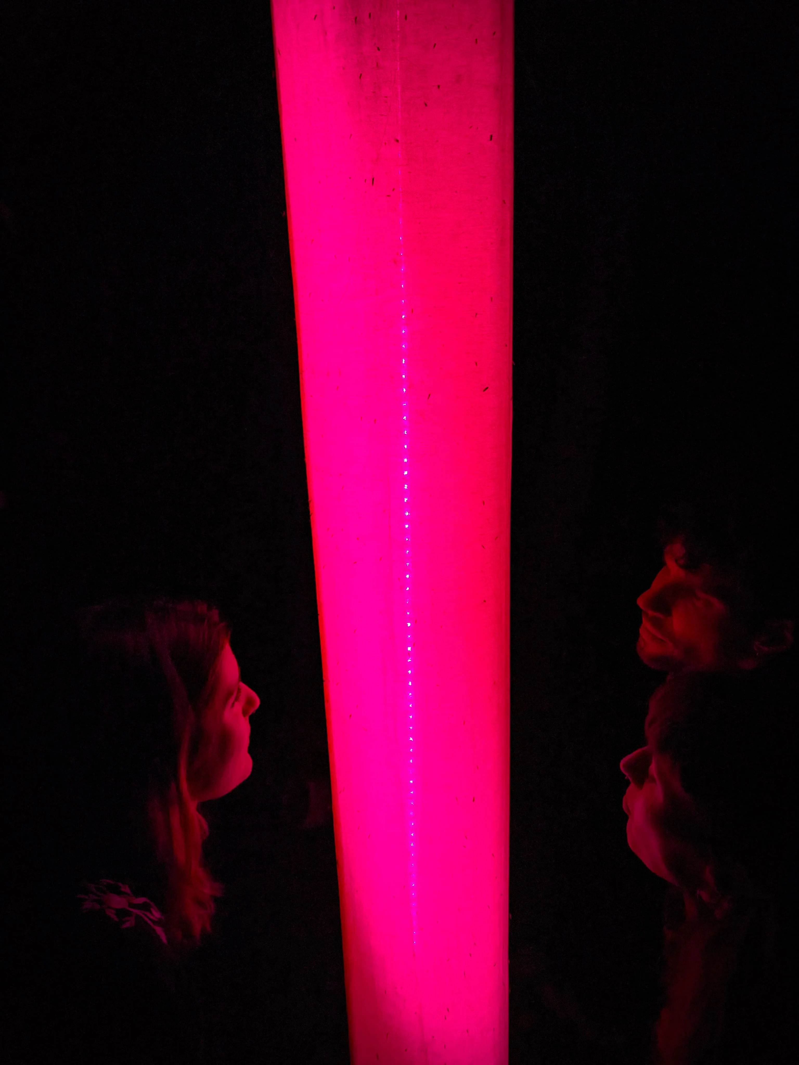 Hydracelli visual art