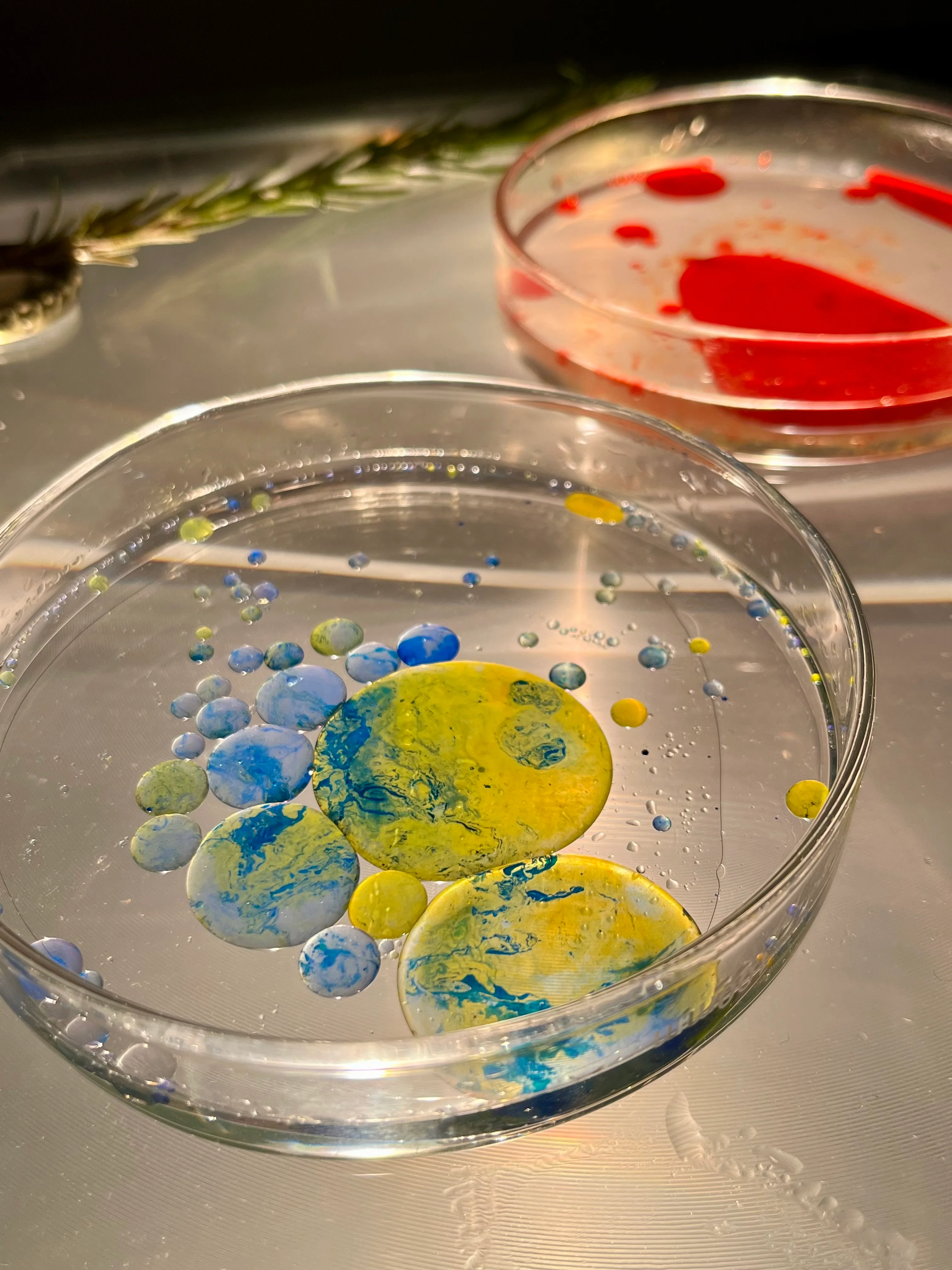 Live coding performance portrait